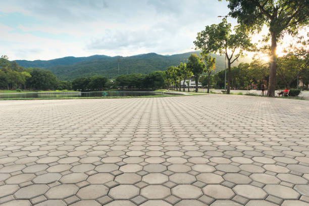 Best Professional Driveway Pavers  in Scottsville, NY